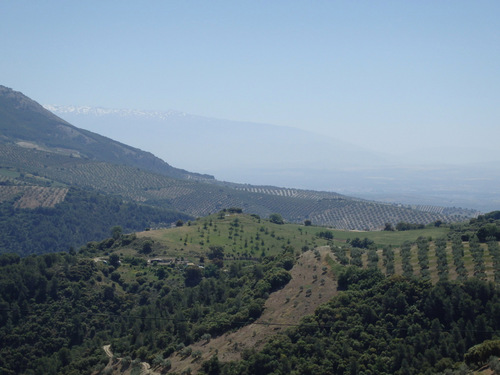 See the Snow Capped Sierra Nevadas.